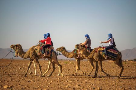 Camel caravan with tourists going through the Sahara Desertのeditorial素材
