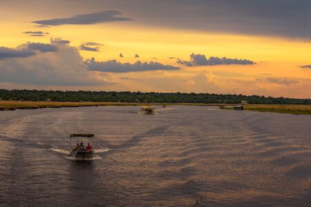People on a sunset safari cruise on Chobe River in Chobe National Park, Botswanaのeditorial素材