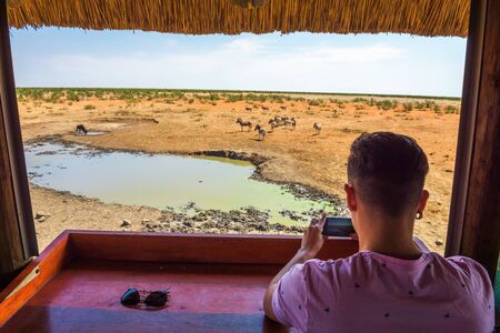 Tourist films wildlife with a smartphone in Etosha National Park, Namibiaの写真素材