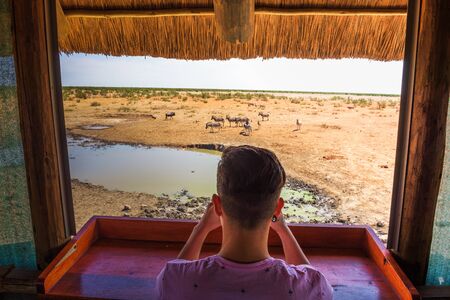 Tourist watches and films wildlife with a smartphone from a hide at the Olifantsrus waterhole in Etosha National Park, Namibiaの写真素材