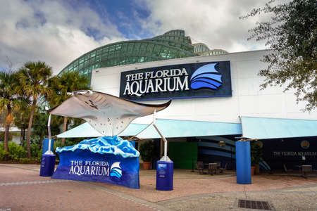 Larga manta ray sculpture at the entrance to the Florida Aquarium in Tampa Bayのeditorial素材