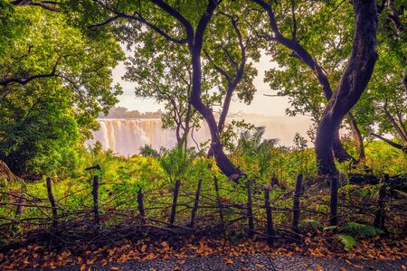 Victoria Falls on Zambezi River as seen from a trail in the rainforest surrounding the waterfalls.の写真素材