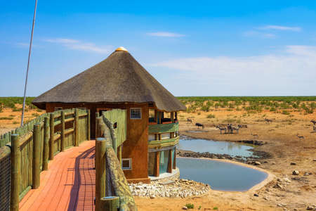 Animal observation deck in Etosha National Park, Namibiaのeditorial素材
