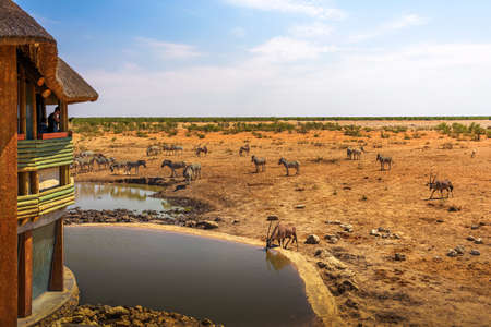 Tourists watching wildlife in Etosha National Park, Namibiaのeditorial素材