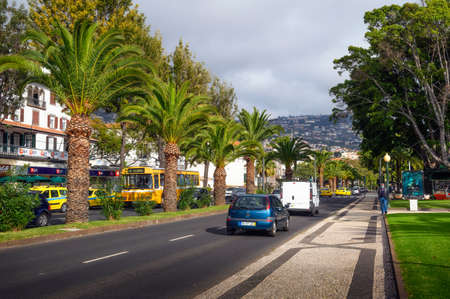 Avenida do Mar street with traffic and a palm tree alley in Funchal, Madeiraのeditorial素材