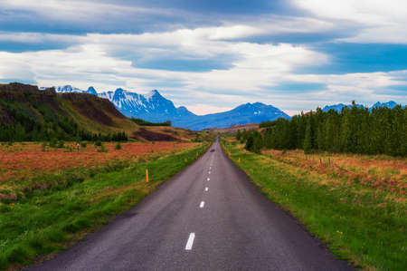 Road going through the scenic summer landscape of Icelandの写真素材