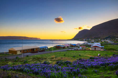 Small fishing village of Patreksfjordur located in the Westfjords, Icelandの写真素材