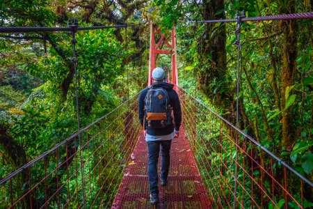 Tourist walking on a suspension bridge in Monteverde Cloud Forest, Costa Ricaの写真素材