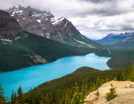 Tourist at the Peyto Lake in Banff National Park, Canadaの写真素材
