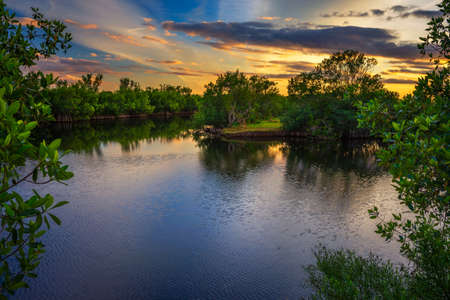 Colorful sunset over a lake in Everglades National Park, Floridaの写真素材