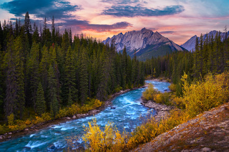 Sunset above Evelyn Creek and Colin Range in Jasper National Park, Canadaの写真素材
