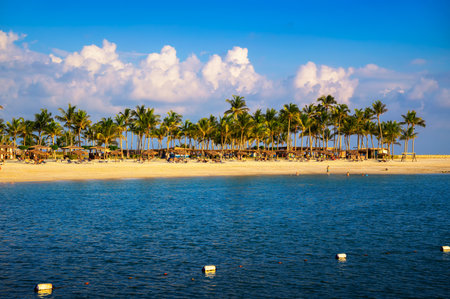 Sunny beach with palm trees, umbrellas and tourists in Salalah, Omanの写真素材