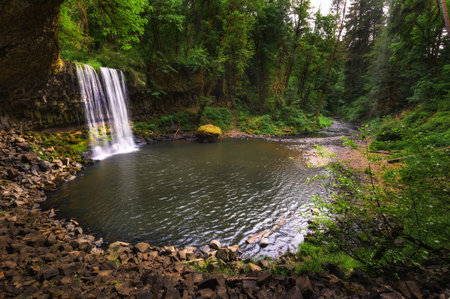 Beaver Falls cascading into a serene pool surrounded by dense forests of Oregonの写真素材