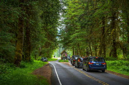 Cars wait to pay admission fees at the entrance of Olympic National Parkのeditorial素材