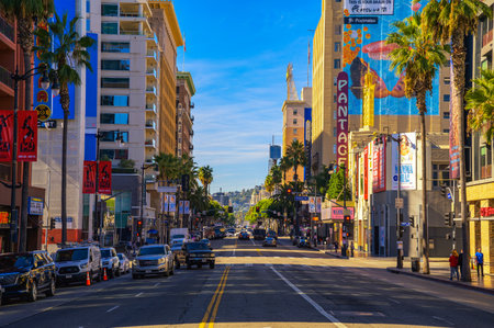 Sunset Boulevard in Hollywood with palm trees and carsのeditorial素材