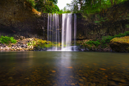 Beaver Falls cascading into a serene pool surrounded by dense forests of Oregonの写真素材