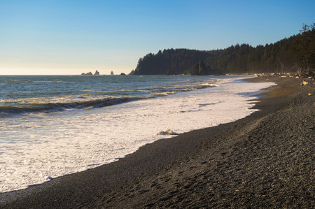 Rialto Beach with driftwood and sea stacks in Washington Stateの写真素材