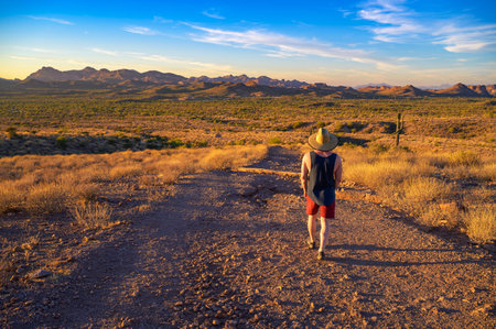 Hiker in a straw hat walks in Lost Dutchman State Park, Arizonaの写真素材