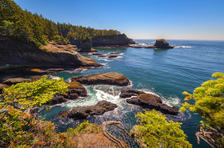 Coastal cliffs and rocky shoreline at Cape Flattery, Washington Stateの写真素材