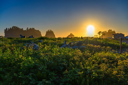 Sunset at First Beach, La Push, Washington Stateの写真素材