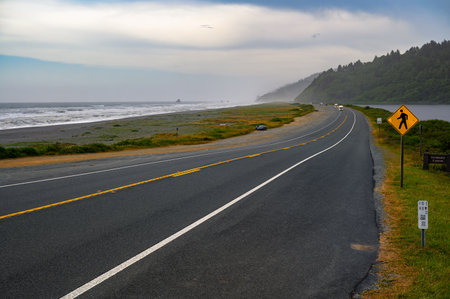Road along the Pacific Ocean in Redwood National and State Parks, Californiaの写真素材