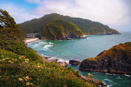 Coastal view of the Oregon Coast Highway bridge near Heceta Head Lighthouse surrounded by Siuslaw National Forest and Pacific Ocean.の写真素材