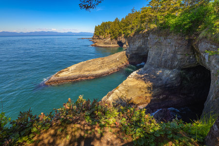 Rocky cliffs and forested shoreline meet the Pacific Ocean at Cape Flattery in Washington State. Cape Flattery is the northwesternmost point of the contiguous United States.の写真素材