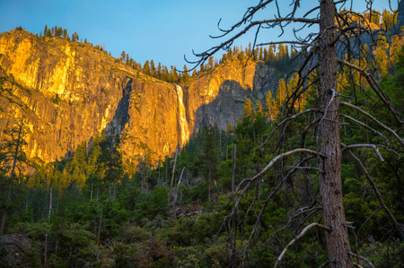 Sentinel Falls cascades down a granite cliff illuminated by golden sunset light in Yosemite National Park, California.の写真素材