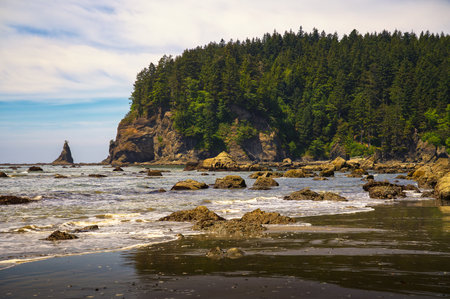 Low tide at Third Beach in La Push reveals coastal rocks and sea stacks along the Olympic Peninsula in Washington State.の写真素材