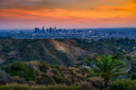 Downtown Los Angeles skyline seen from Mt. Lee Drive at sunset, with hills and palm trees in the foreground.の写真素材