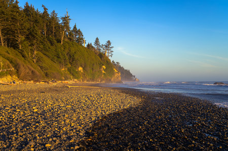 Ruby Beach shows a pebble shore with steep, forested cliffs under clear evening light in Washington State.の写真素材