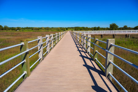 Wooden boardwalk with railings crossing marshland at Silver Sands State Park in Milford, Connecticut.の写真素材