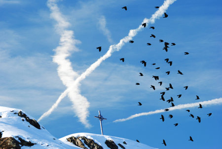 Snow-covered top with flock of birdsの写真素材