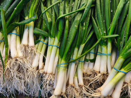 Fresh green onions for sale at the farmers market, close-up