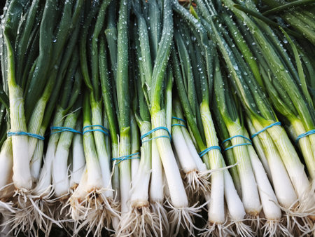 Fresh spring onions at market stall, closeup. Harvesting concept