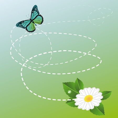 Vector art graphic illustration of butterfly backgroundのイラスト素材