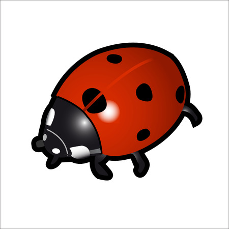 Vector art graphic illustration of meadow itemsのイラスト素材