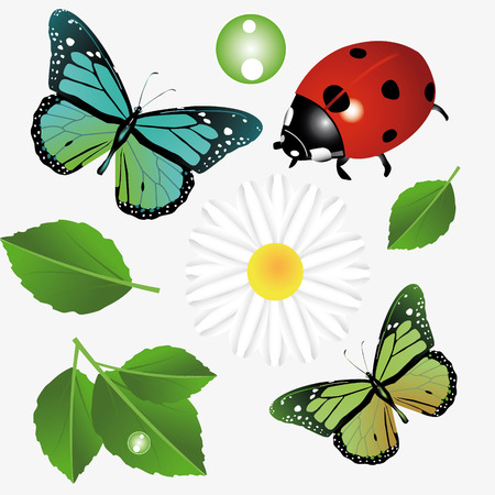 Vector art graphic illustration of meadow itemsのイラスト素材