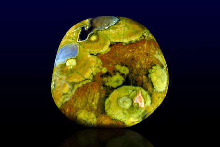 Polished rhyolite (rainforest jasper) stone photoの写真素材