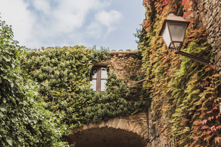 This is a beautiful view of a window surrounded by a climber plant in the Spanish village of Peratallada, in the state of Girona. The leafs are green and brown due to the beginning of the fall.の写真素材