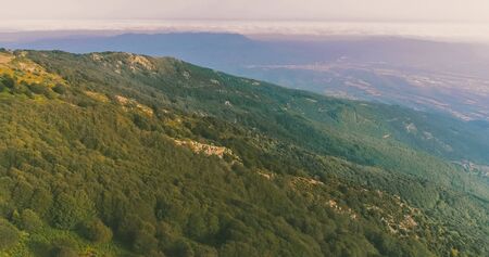 Landscape in which several green trees are observed and the sky a little cloudy.の写真素材