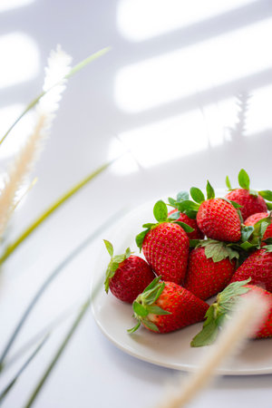 Fresh red strawberries on a plate on a white background with window shadows with natural lightの写真素材