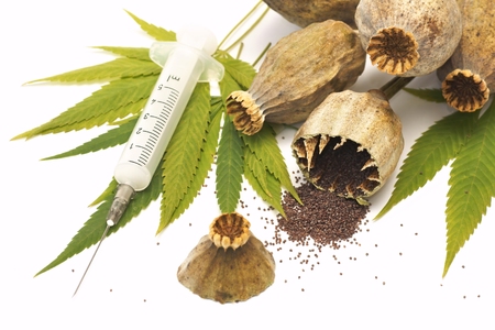 Poppy, cannabis leaves, marijuana, syringeの写真素材