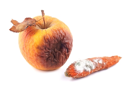 Apple rotten and moldy carrotの写真素材