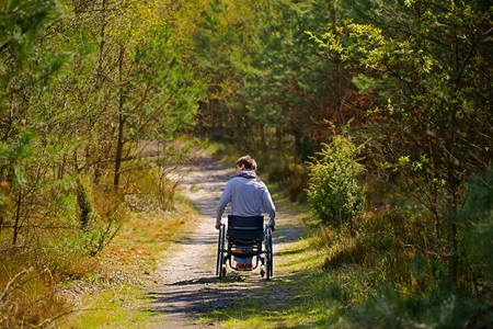Disabled woman riding a wheelchair in the woodsの写真素材
