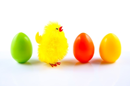 Easter Eggs and Chicken on white backgroundの写真素材