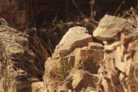 ruins of an old stone wallの写真素材