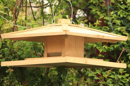 canteen cottage for wild birdsの写真素材