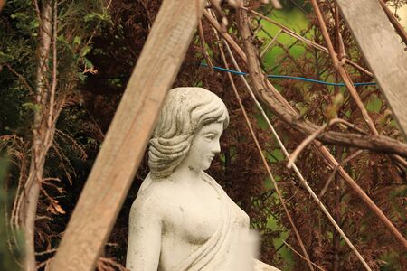 abandoned figure of a woman in the thicketsの写真素材