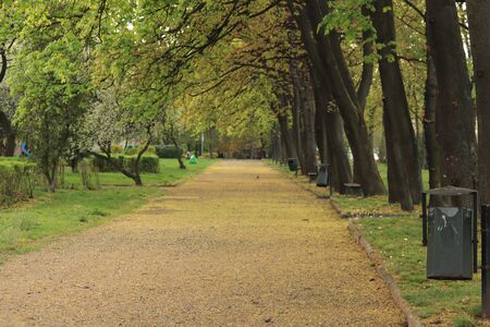 empty alleys in the park during pandemics